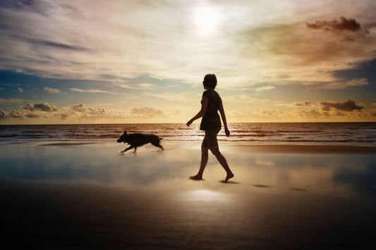 The Science Behind Why Dogs & Nature Are Vital for Your Mental Health