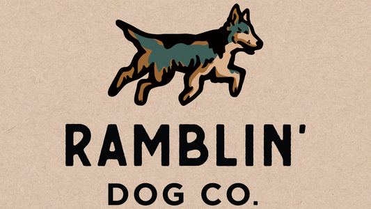 The Story Behind Our Rebrand