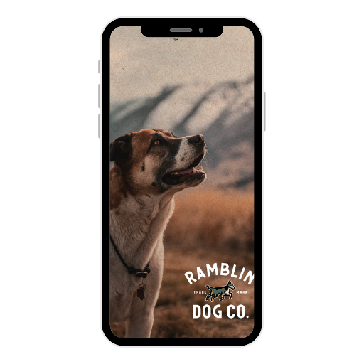 Ramblin’ Dog Co. Adventure Wallpapers 🌲🐾