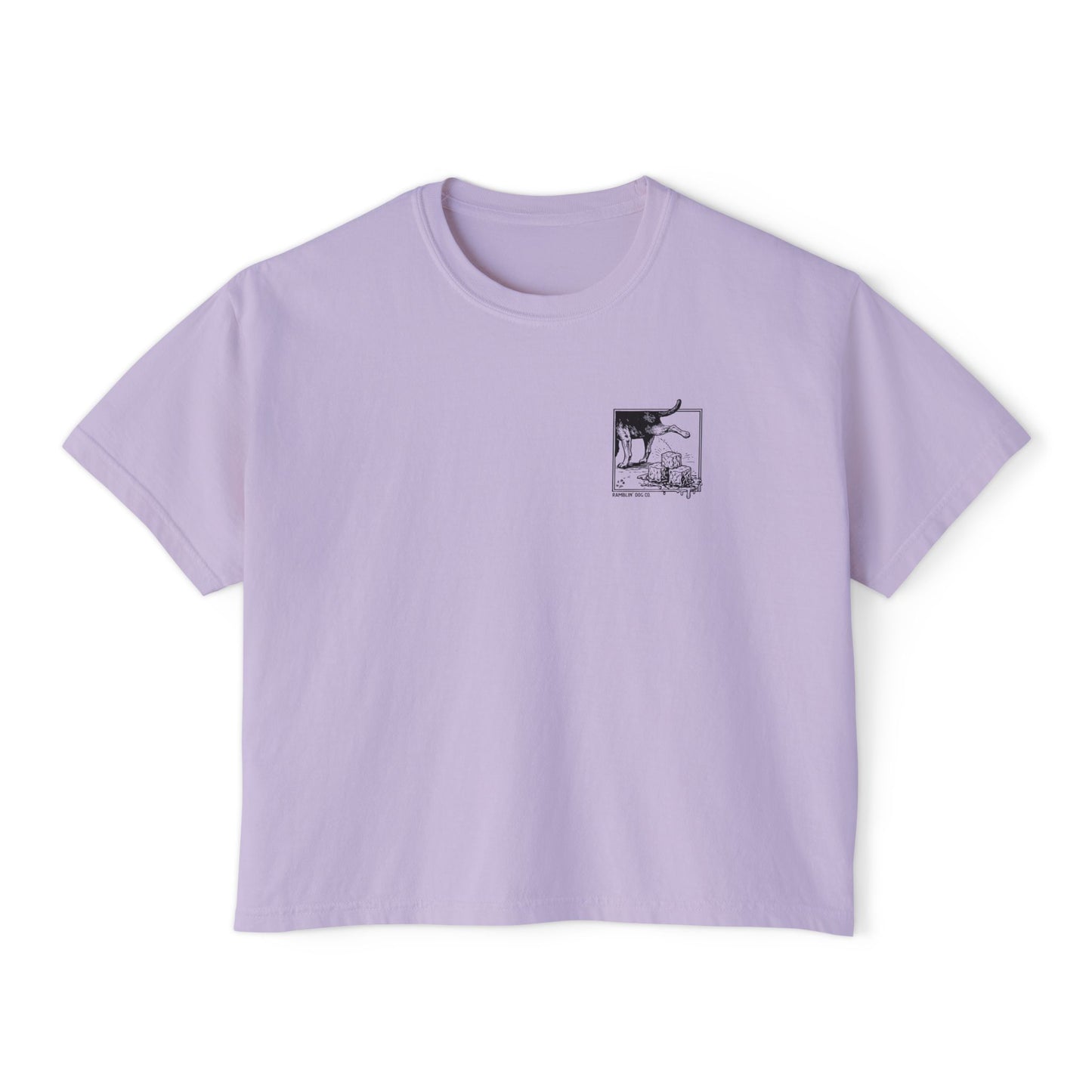 Fuck Ice - Crop Tee