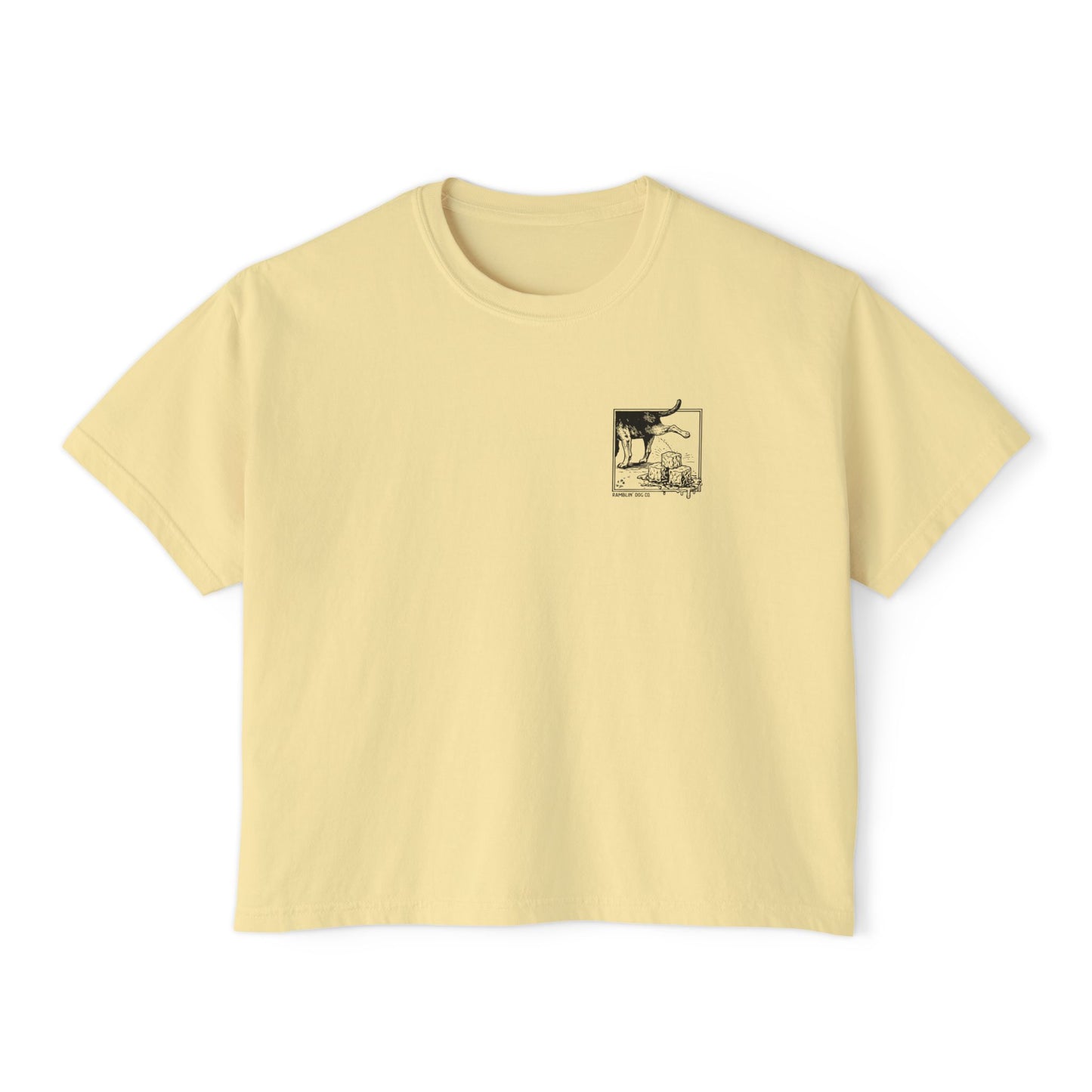 Fuck Ice - Crop Tee